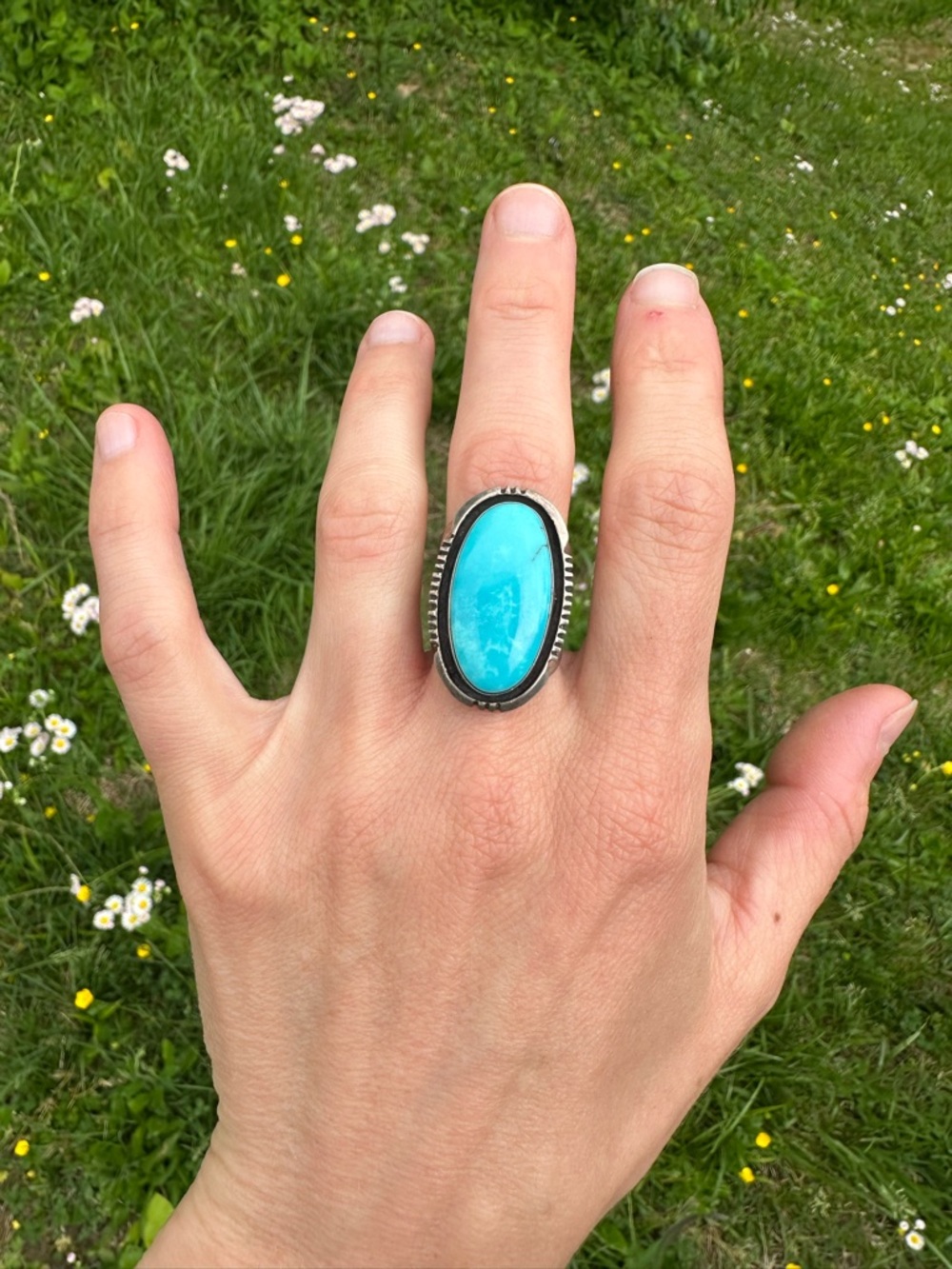Kingman Turquoise Ring with Five Prong Ring Shank